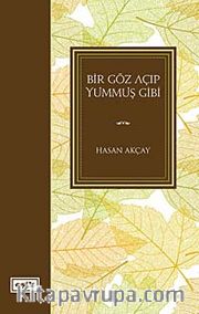 Bir Göz Açıp Yummuş Gibi