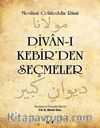 Divan-ı Kebir'den Seçmeler