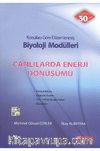 Canlılara Enerji Dönüşümü / Konularına Göre Düzenlenmiş Biyoloji Modülleri