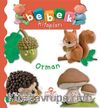 Orman / Bebek Kitapları