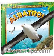Muhteşem Planör Albatros / Hayvanların Gizemli Dünyası -7