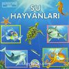 Su Hayvanları & Merhaba Kitap Dizisi