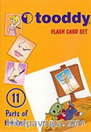 Tooddy Flash Card Set 11: Vücudun Bölümleri