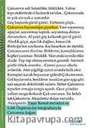 Çukurova Bayramlığın Giyerken