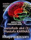 Metafizik Akıl -1