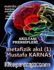 Metafizik Akıl -1