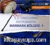 TRT Arşiv Serisi 267 / 50.Yıl İl İl Türkülerimiz Enstrümantal Marmara Bölgesi -1