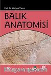 Balık Anatomisi