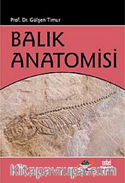 Balık Anatomisi