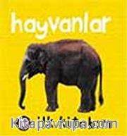 İlk Kitabım Hayvanlar