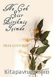 Ne Çok Şiir Birikmiş İçimde
