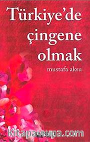 Türkiye'de Çingene Olmak