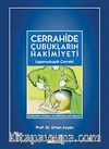 Cerrahide Çubukların Hakimiyeti & Laparoskopik Cerrahi