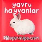 İlk Kitabım / Yavru Hayvanlar
