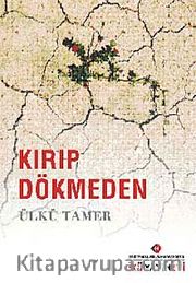 Kırıp Dökmeden