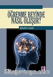 Öğrenme Beyinde Nasıl Oluşur?