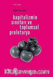 Kapitalizmin Sınırları ve Toplumsal Proletarya