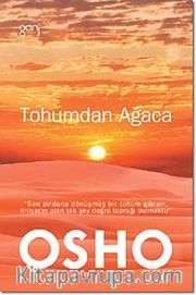 Tohumdan Ağaca