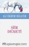 Şiir Demeti (Cep Boy)