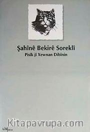 Pisik Ji Xewnan Dibinin
