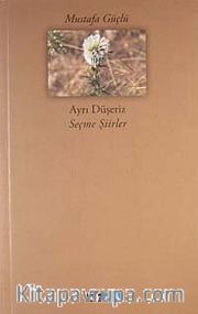 Ayrı Düşeriz - Seçme Şiirler