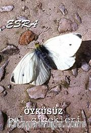 Öyküsüz Bal Çiçekleri