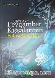 Ulü'l Azm Peygamber Kıssalarının Enfüsi Manaları