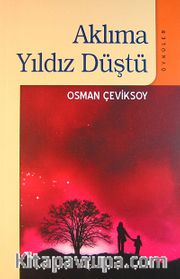 Aklıma Yıldız Düştü