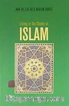 Living in the Shade of Islam (Paperback)