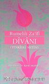 Rumelili Za'ifi Divanı (Tenkidli Metin)
