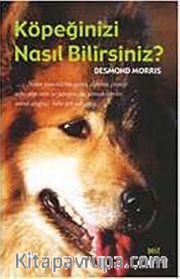 Köpeğinizi Nasıl Bilirsiniz?