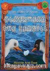 Black Head the Seagull