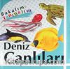 Deniz Canlıları / Bakalım Tanıyalım