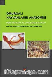 Omurgalı Hayvanların Anatomisi <br /> Ders Notları ve Uygulama Kılavuzu