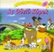 Aç Gözlü Köpek