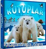 Kutuplar (3 Boyutlu)