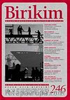 Birikim / Sayı:246  Yıl: 2009 / Aylık Sosyalist Kültür Dergisi