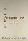 Şeyh Galib Divanı & Hayatı - Edebi Kişiliği - Eserleri - Şiirlerinin Umumi Tahlili