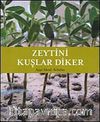 Zeytini Kuşlar Diker