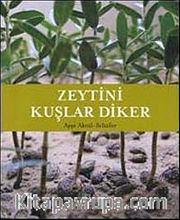 Zeytini Kuşlar Diker