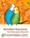 Muhabbet Kuşumuza Nasıl Bakacağımızı Öğrenelim