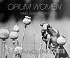 Opium Women ( Haşhaş Kadınları)