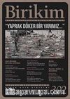 Birikim / Sayı:302 Yıl:2014 / Aylık Sosyalist Kültür Dergisi
