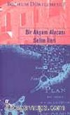 Bir Akşam Alacası