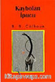 Kaybolan İpucu