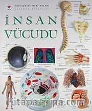 İnsan Vücudu
