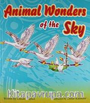 Animal Wonders of The Sky