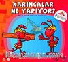 Karıncalar Ne Yapıyor -2 &  Şıp Şıp Boyamalı Hikayeler