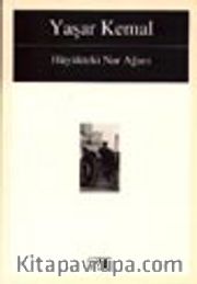 Hüyükteki Nar Ağacı