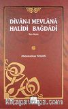 Divan-ı Mevlana Halidi Bağdadi (Tam Metin)